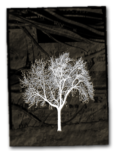 White Tree